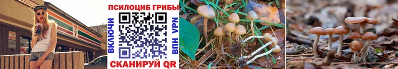 Галлюциногенные грибы Magic Shrooms  Михайлов 