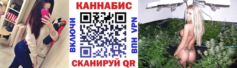 сколько стоит Михайлов Канабис тримм